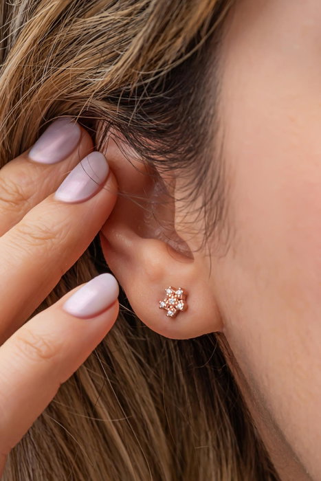 Heliophilia Silver Pendientes de Plata de Ley 925 con Oro Rosa y Circón